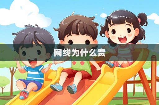 网线为什么贵