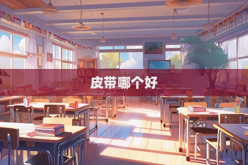 皮带哪个好