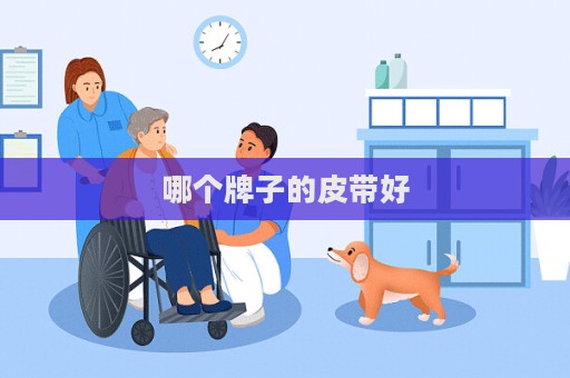 哪个牌子的皮带好