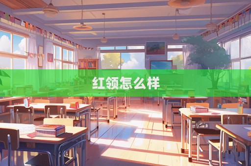 红领怎么样  第1张