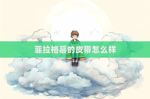 菲拉格慕的皮带怎么样
