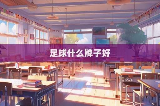 足球什么牌子好  第1张