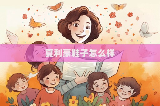 夏利豪鞋子怎么样  第1张