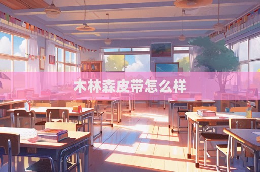 木林森皮带怎么样