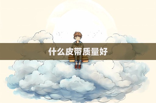 什么皮带质量好