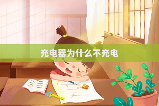 充电器为什么不充电