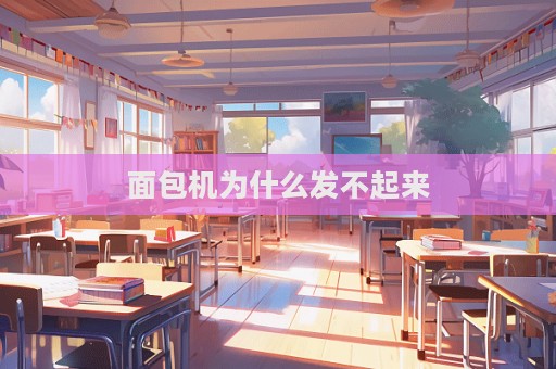 面包机为什么发不起来  第1张