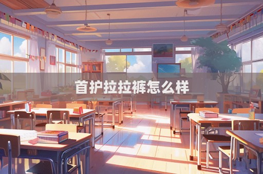 首护拉拉裤怎么样