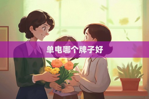 单电哪个牌子好