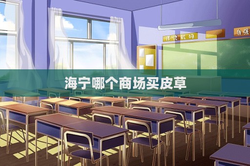 海宁哪个商场买皮草  第1张