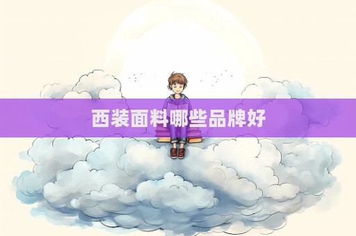 西装面料哪些品牌好  第1张