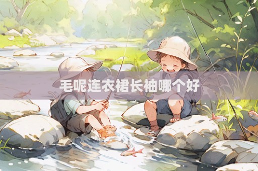 毛呢连衣裙长袖哪个好  第1张