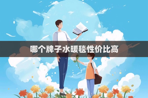 哪个牌子水暖毯性价比高  第1张