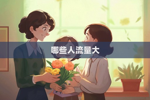 哪些人流量大