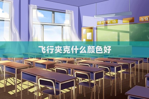 飞行夹克什么颜色好