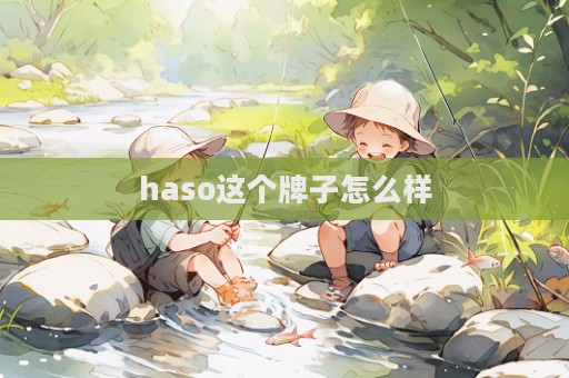 haso这个牌子怎么样  第1张