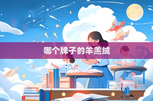 哪个牌子的羊羔绒